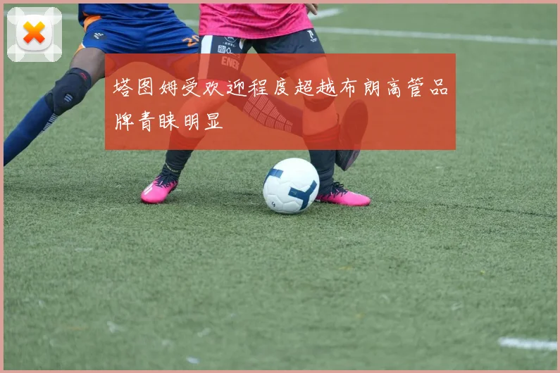 塔图姆受欢迎程度超越布朗高管品牌青睐明显