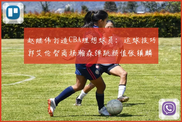 赵继伟打造CBA理想球员：运球技巧郭艾伦智商杨瀚森弹跳颜值张镇麟完美结合