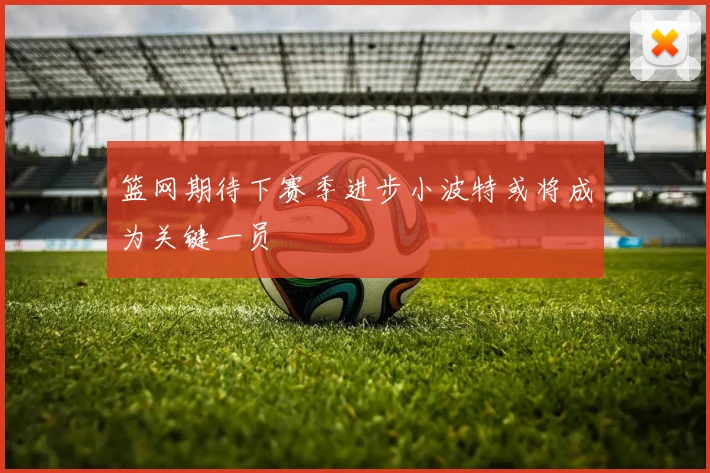 篮网期待下赛季进步小波特或将成为关键一员