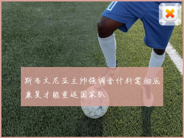 斯洛文尼亚主帅强调舍什科需彻底康复才能重返国家队